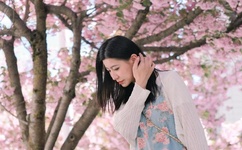 夜夜爽77777妓女免费下载